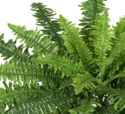 Two 40" Spread Artificial Boston Fern 48 Leaves Silk Hanging Bush Tree Plant -Green Leaf Store 61jYswdWzNL