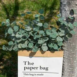 Miracliy 6 PCS Artificial Eucalyptus Leaves Greenery Stems Faux Silk Silver Dollar Eucalyptus Leaf Branches Green Bulk For Home Party Wedding Decoration -Green Leaf Store 61ldduzuRSL