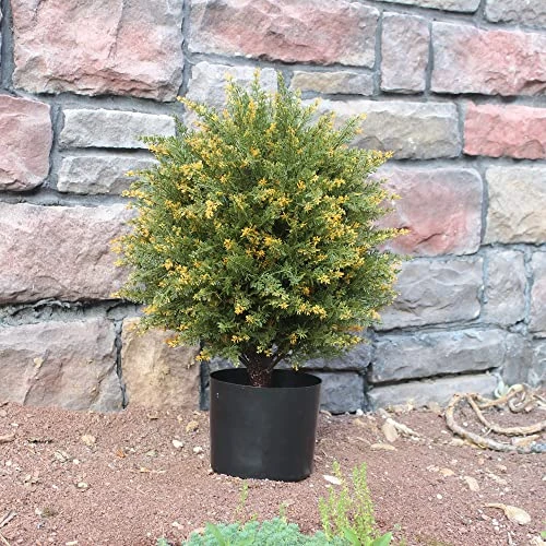 ECOLVANT Artificial Topiary Cedar Ball Tree Two 20''T Artificial Cedar Tree UV Resistant Bushes Potted Plants Artificial Shrubs For Indoor Outdoor Home Garden (Yellow-Green) 5 ECOLVANT Artificial Topiary Cedar Ball Tree Two 20''T Artificial Cedar Tree UV Resistant Bushes Potted Plants Artificial Shrubs For Indoor Outdoor Home Garden (Yellow-Green) - Image 5