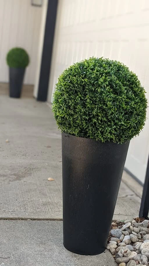 365 Curb Appeal Set Of 2 Large Topiary Balls (Better Than A Boxwood) 3 365 Curb Appeal Set Of 2 Large Topiary Balls (Better Than A Boxwood) - Image 3