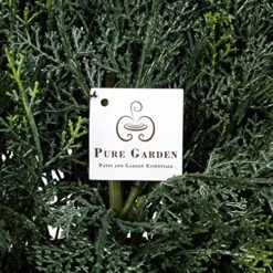 Home Pure Garden Artificial Cypress Topiary-23” Ball Style Faux Plant In Sturdy Realistic Indoor Or Outdoor Potted Shrub Décor -Green Leaf Store 61r6augSuSL