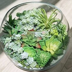 Winlyn 19 Pcs Assorted Artificial Succulents Plants Unpotted Small Green Aloe Hops Cactus String Of Pearls Picks Fake Succulents Bulk For Succulent Garden Floral Arrangement Indoor Outdoor Home Decor -Green Leaf Store 61t9eAPjuyL