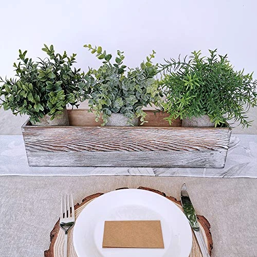 Winlyn Mini Potted Plants Artificial Eucalyptus Boxwood Rosemary Greenery In Pots Faux Potted Herbs Small Houseplants 8.3"-9" Tall For Indoor Greenery Tabletop Décor Centerpiece 3 Pack 3 Winlyn Mini Potted Plants Artificial Eucalyptus Boxwood Rosemary Greenery In Pots Faux Potted Herbs Small Houseplants 8.3"-9" Tall For Indoor Greenery Tabletop Décor Centerpiece 3 Pack - Image 3