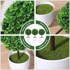 Garneck Potted Fake Plant Green 3Pcs Artificial Potted Plants Mini Boxwood Topiary Green Grass Ball Greenery In Pots Small Houseplants For Indoor Office Tabletop Decor Centerpiece Faux Plants Potted -Green Leaf Store 61y7EHGNPmL