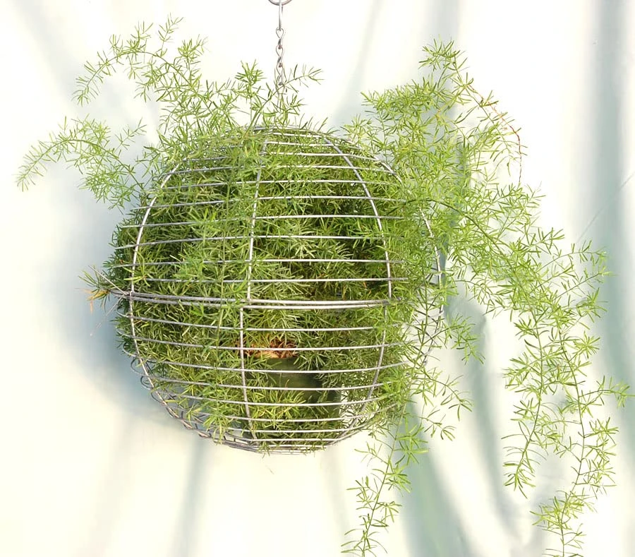 Topiary Art Works 8" Wire Globe 2 Topiary Art Works 8" Wire Globe - Image 2